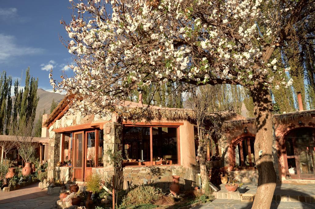 Villa Solar Del Tropico à Huacalera Extérieur photo